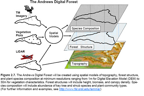 Digital Forest Graphic