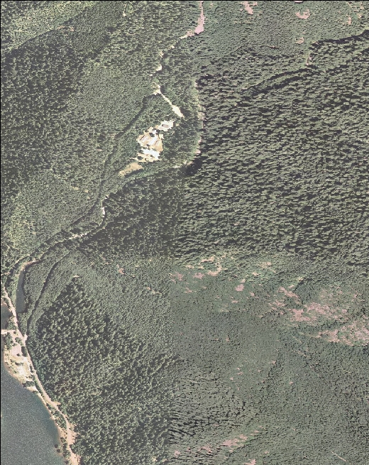 Digital Orthophotograph of HJ Andrews Headquarters and Watershed 1, 2005