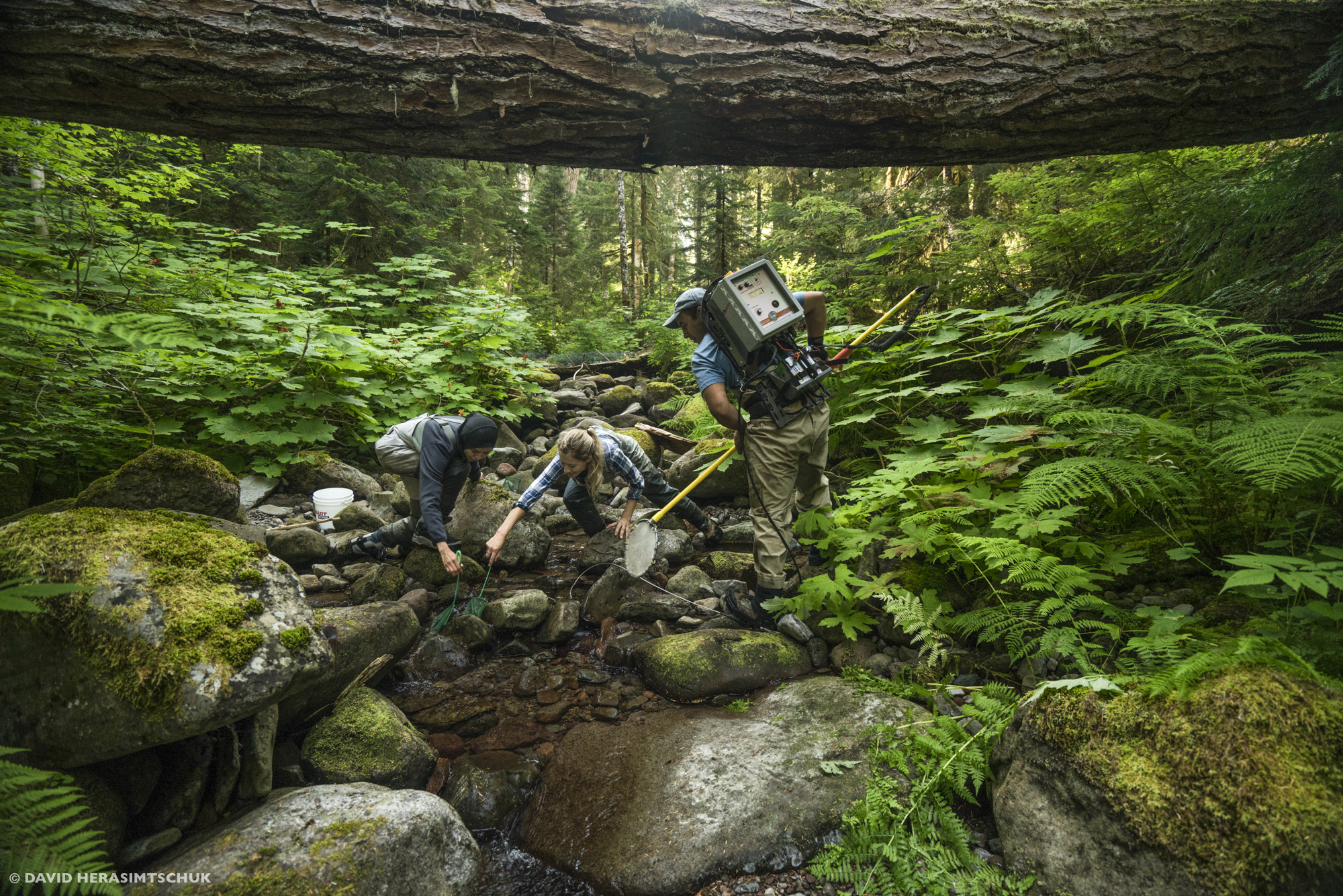 stream researchers at the HJ Andrews Experimental Forest