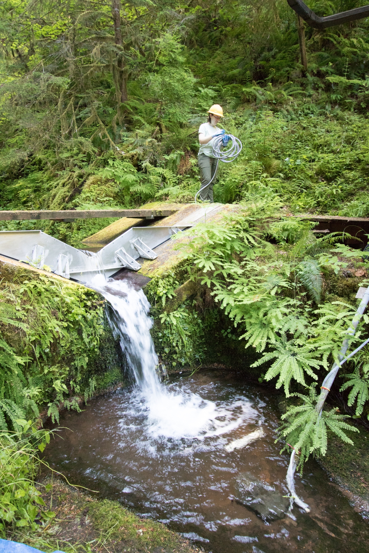 soil hydrology in Watershed 2