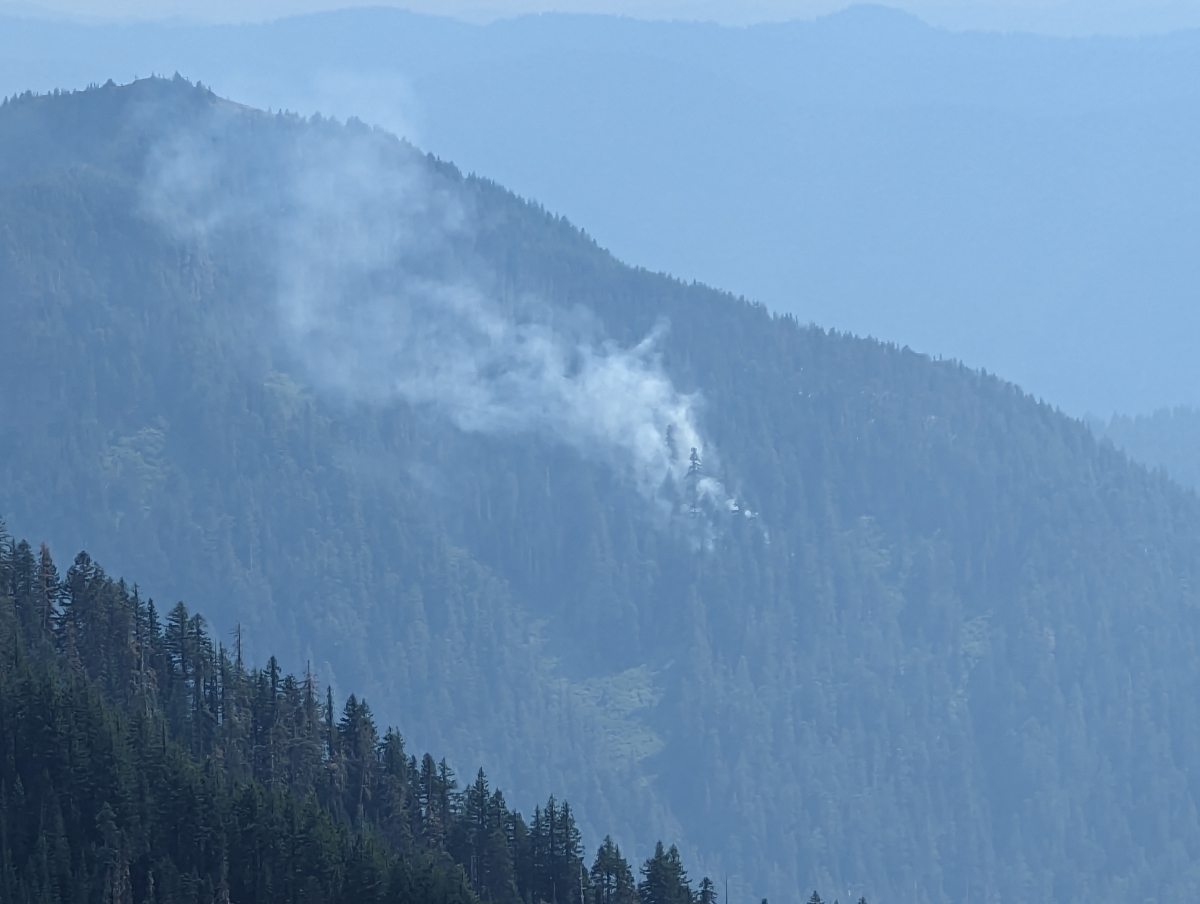 Lookout Fire August 5