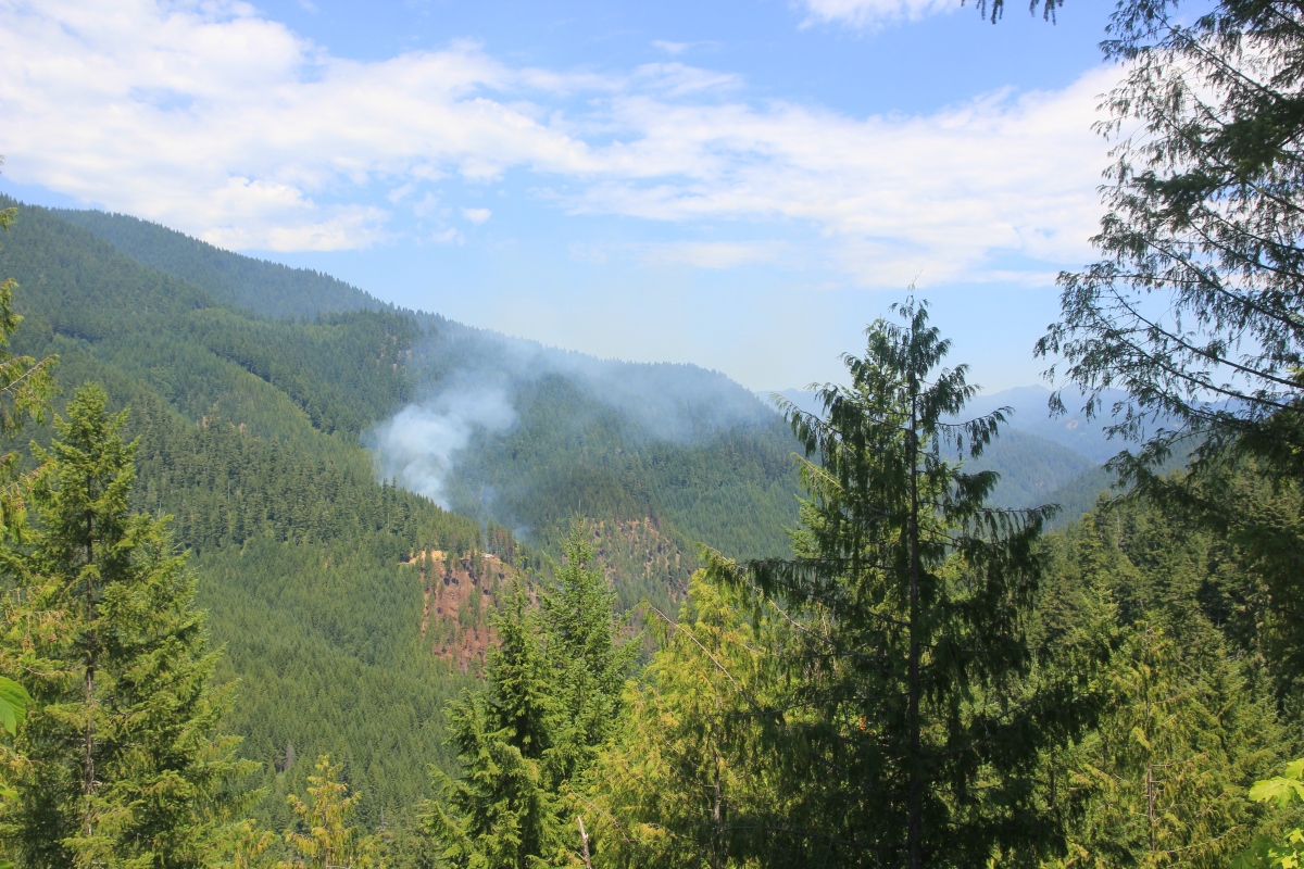 fire near HJA July 16