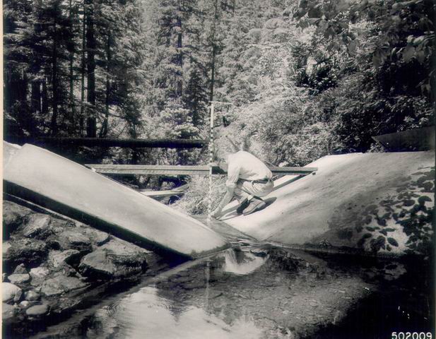 Jerry Franklin at WS01 measuring streamflow with a velocity head rod. Flow about .80 to .15 cfs, gage height .030 to .040 feet. Photographed by J. Rothacker 07/01/57 Photo: AAA-020