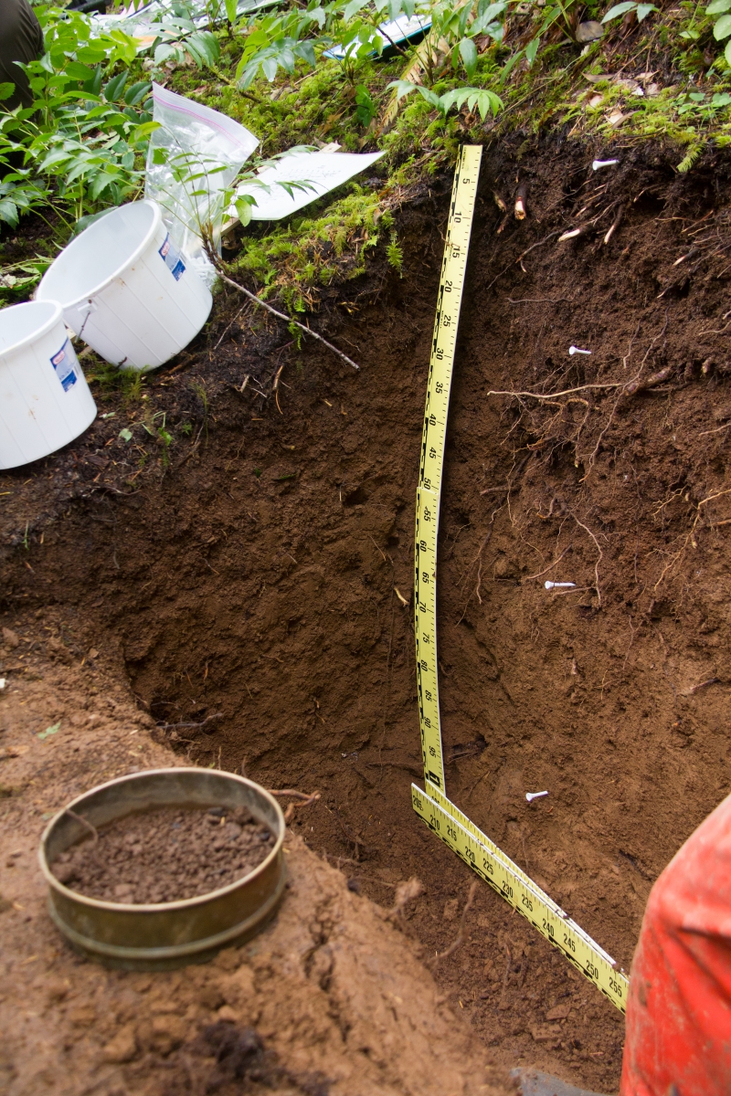 soil pit