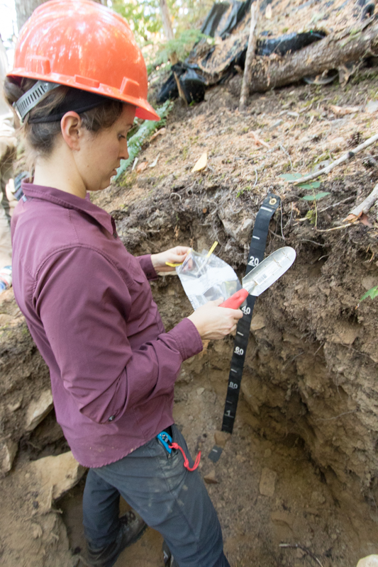 Karla Jarecke in a soil pit at the Andrews Forest