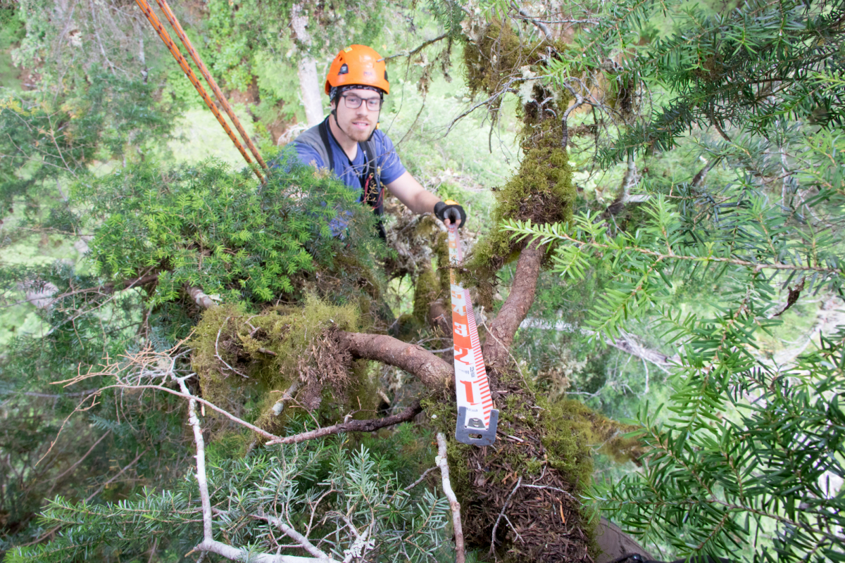 graduate student Stephen Caulkins