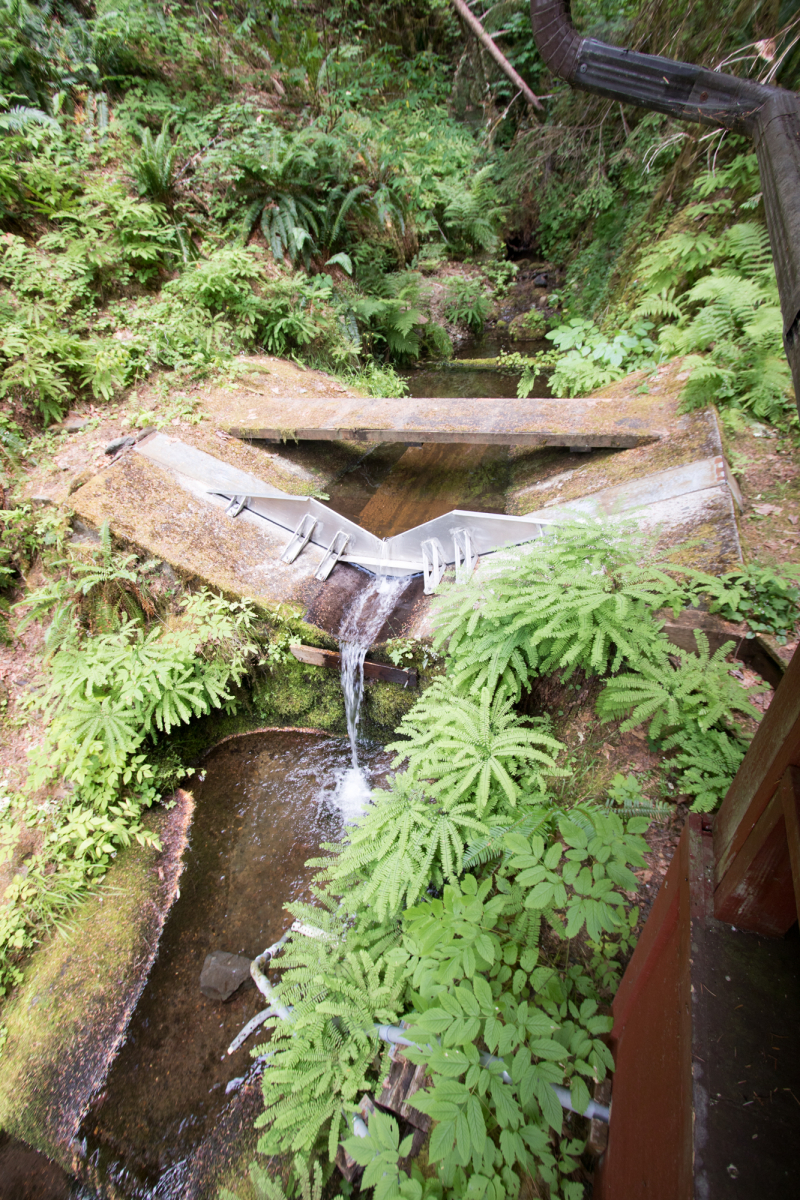Watershed Flume at the Andrews Forest
