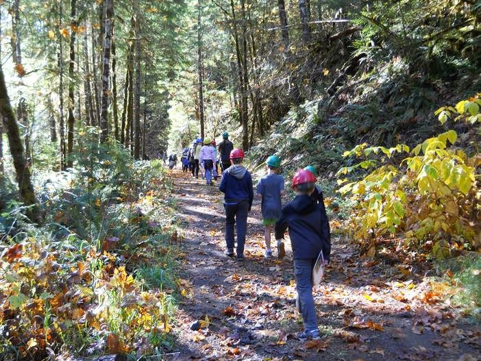 Elementary school students visit the Andrews Forest