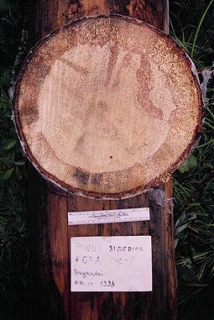 PISI2c