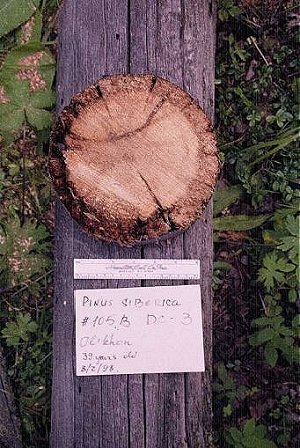 PISI3c