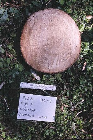PIAB1c