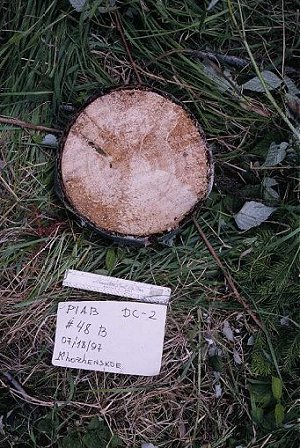 PIAB2c