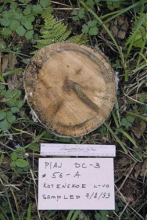 PIAB3c