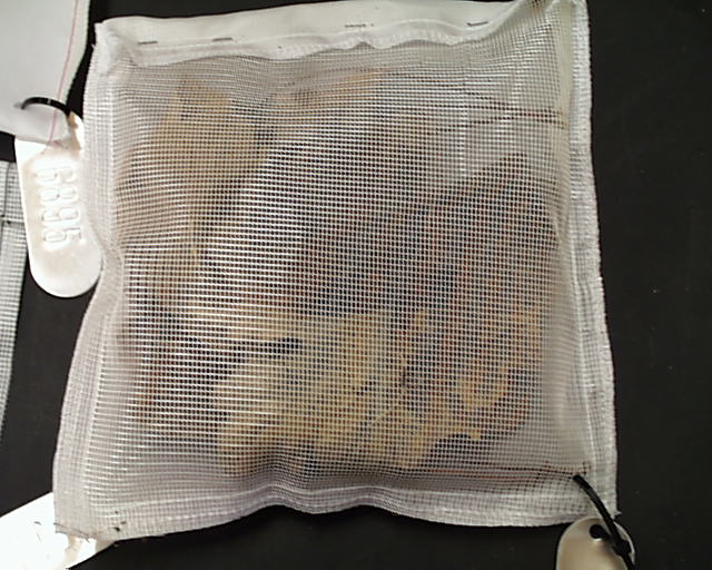 leaf litter bag experiment