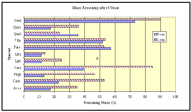 Differences in species observed in North Carolina Botanical Gardens wood decomposition experiment