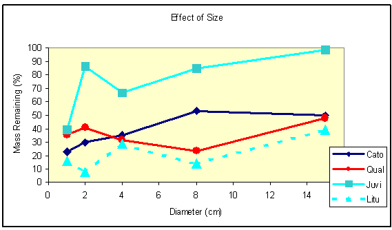 Change in mass remaining after 4 years in response to piece diameter