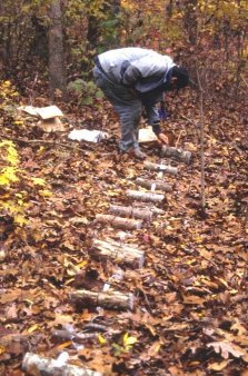 the least- and most-decay resistant species available were placed on the surface of the forest floor 