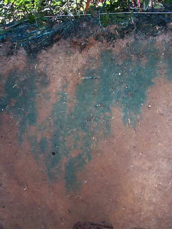 pronounced bypassing of shallow soils and heterogeneous infiltration