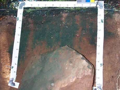 profile containing large boulder that created a preferential flowpath during the experiment
