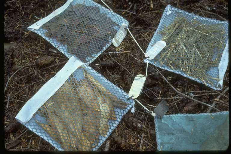 litter bags with holes