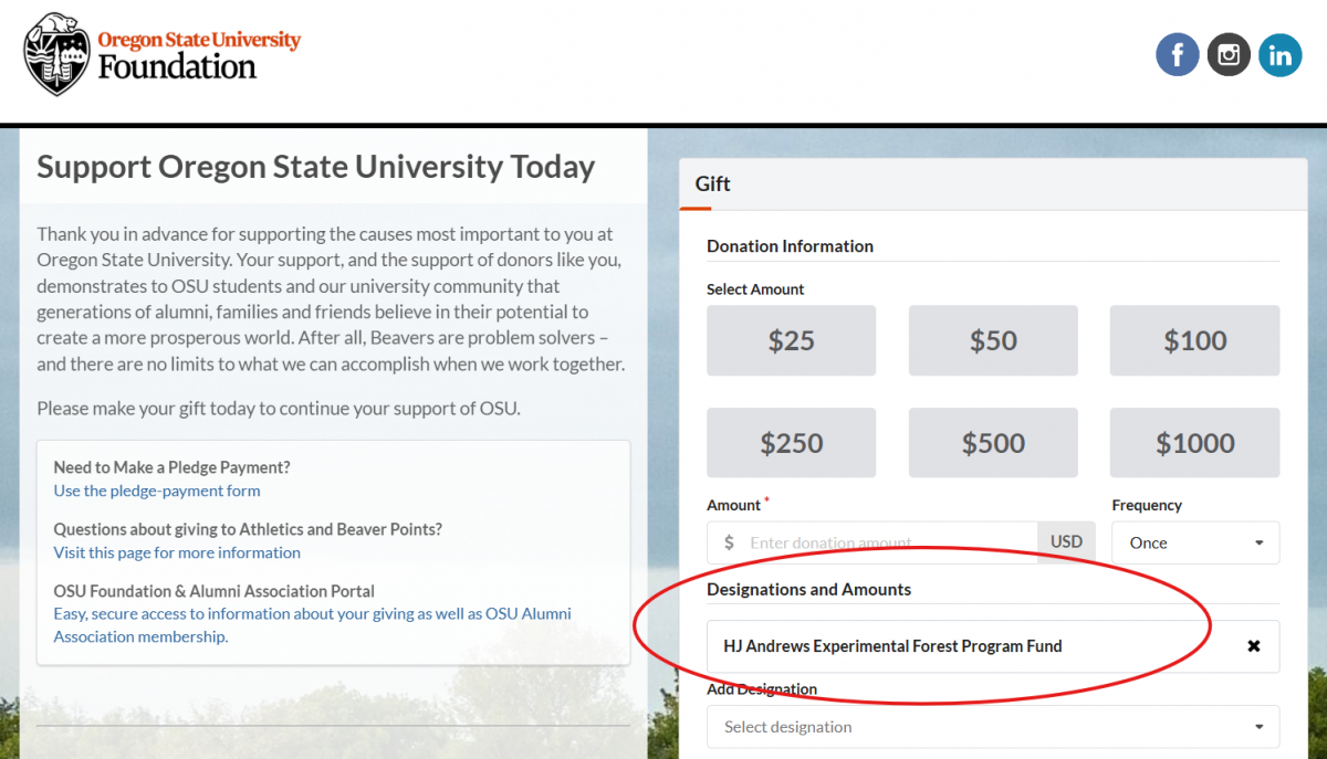 donation page example