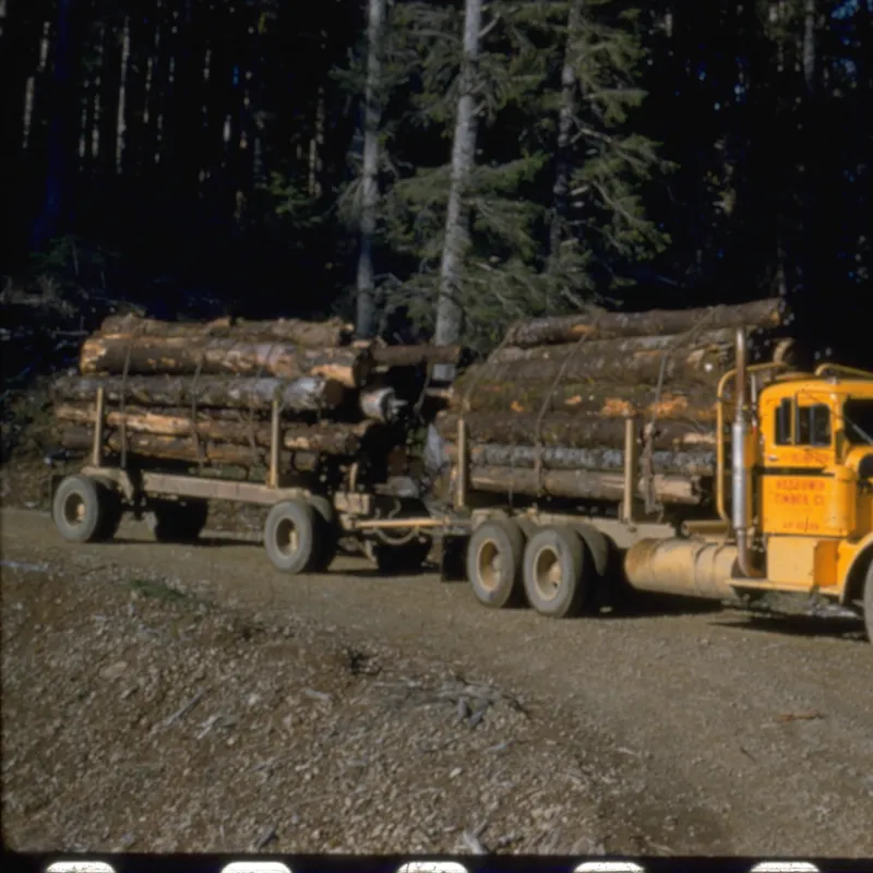 logging truck with logs