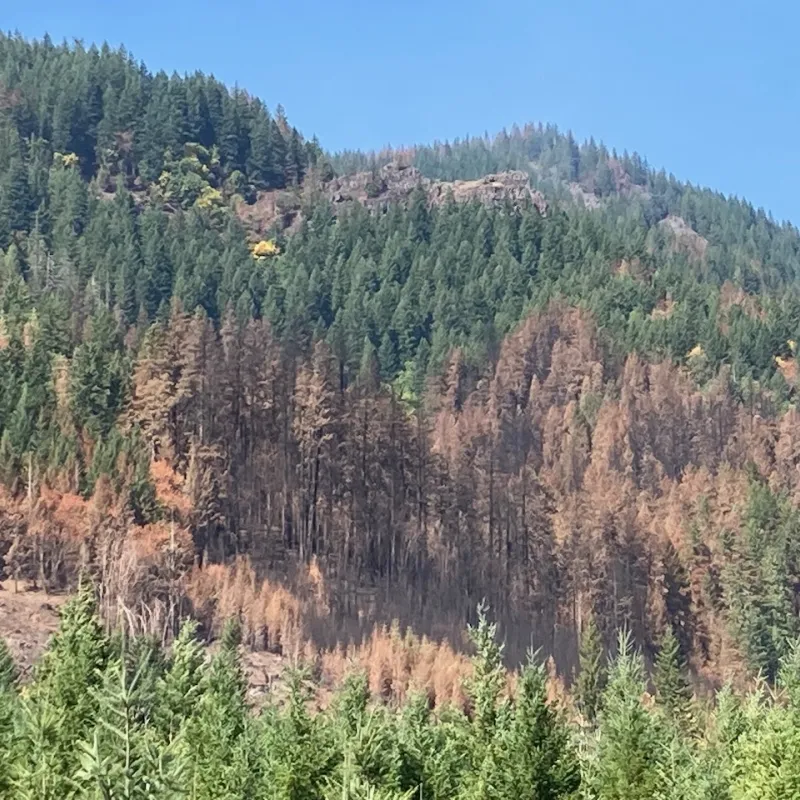 Lookout Fire 2023
