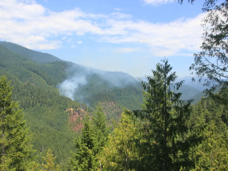 Ore Fire smoke rising from hillslope 2024