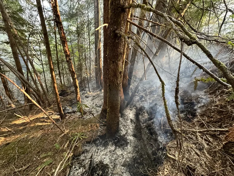 Lookout Fire 2023