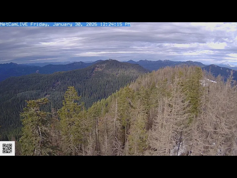 Roswell North Webcam View