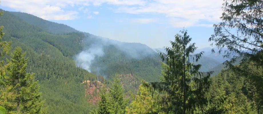 Ore Fire smoke rising from hillslope 2024
