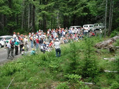 group of people along forested roadside