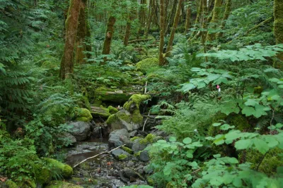 Watershed 1