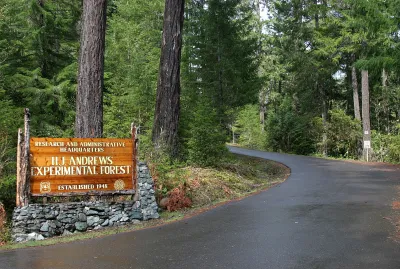 Lookout Creek old-growth forest