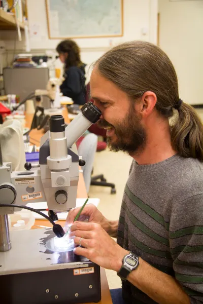 Insect lab work for the phenology project, July 2014