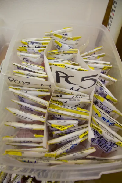 Insect lab work for the phenology project, July 2014