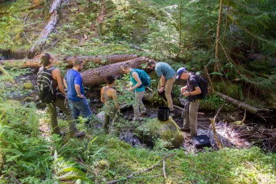 Stream Ecology field work, July 2014