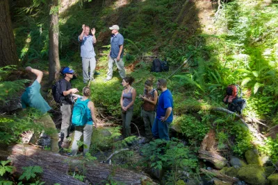 Stream Ecology field work, July 2014