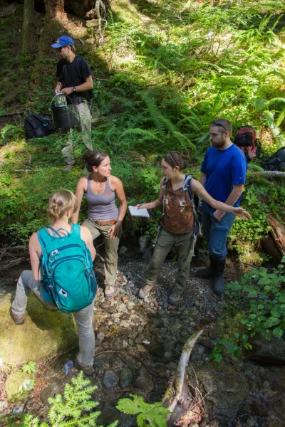 Stream Ecology field work, July 2014
