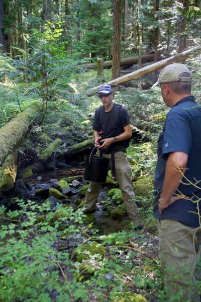 Stream Ecology field work, July 2014