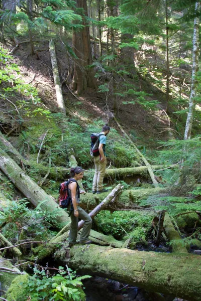 Stream Ecology field work, July 2014