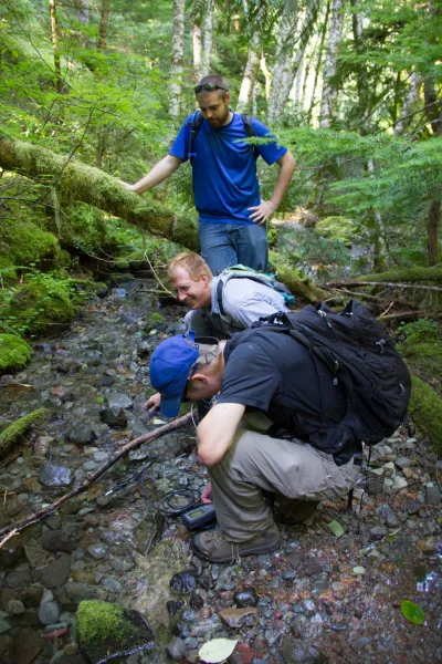 Stream Ecology field work, July 2014