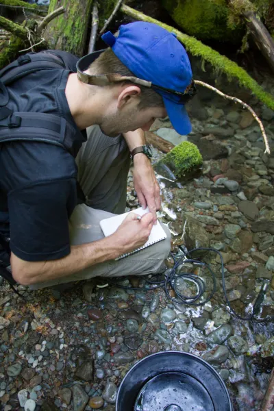 Stream Ecology field work, July 2014