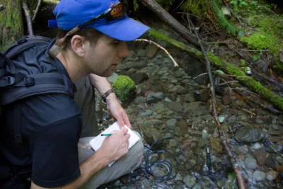 Stream Ecology field work, July 2014