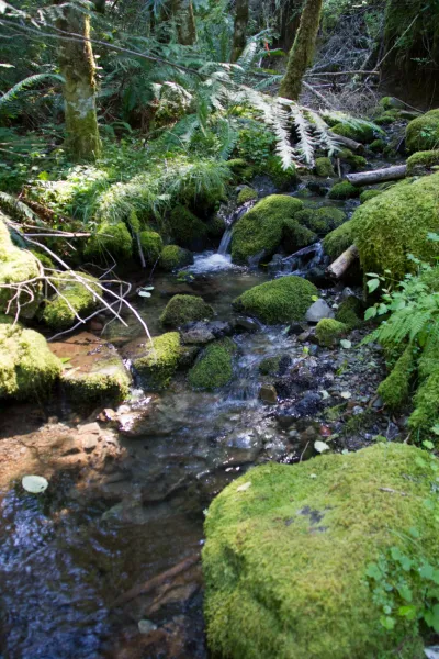 Stream Ecology field work, July 2014
