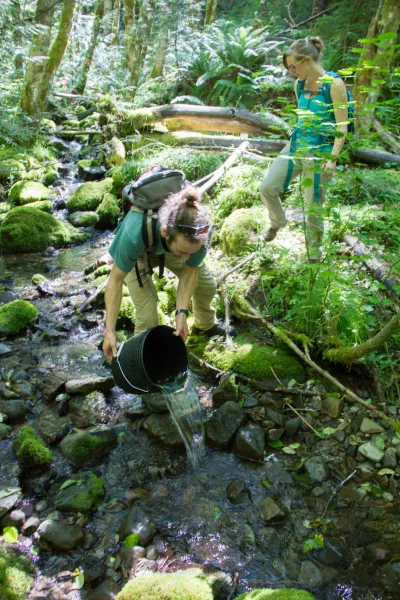 Stream Ecology field work, July 2014