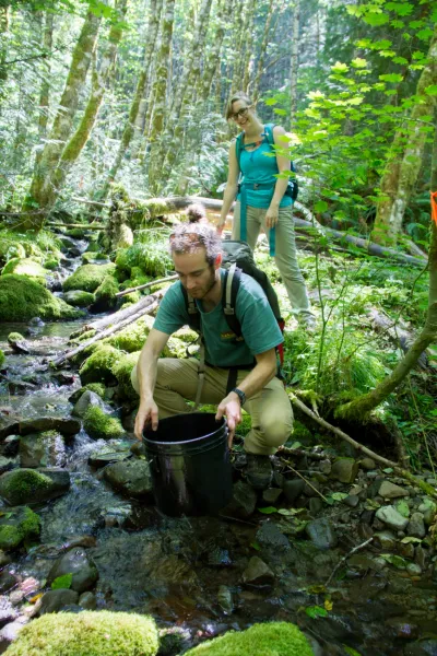 Stream Ecology field work, July 2014