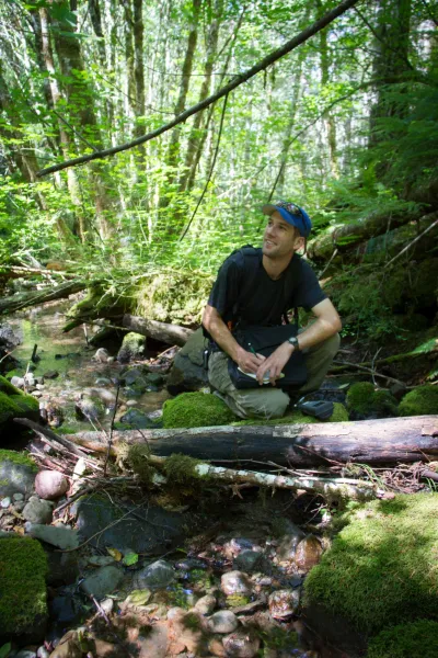 Stream Ecology field work, July 2014