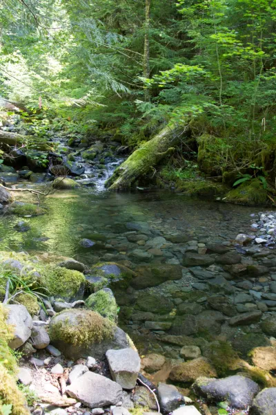 Stream Ecology field work, July 2014