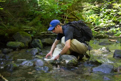 Stream Ecology field work, July 2014